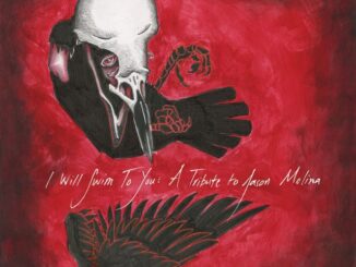 "I will swim to You" A Tribute to Jason Molina album cover