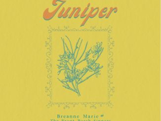 artwork for Breanne Marie album Juniper