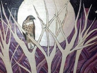 Art work for Suzy Sue Smith benefit album featuring Lone WolfOMB, Olds Sleeper and Possessed by Paul James