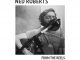 Ned Roberts album cover art for From The Reels 2012-2020