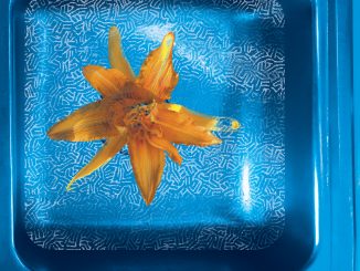 Artwork for June Star album, "How we See it Now"