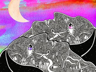 The Armadillo Paradox - debut album cover