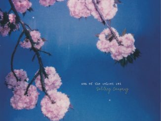 Son of the Velvet Rat Artwork Solitary Company