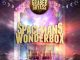 Album art for Graber Gryass album "Spaceman's Wonderbox"