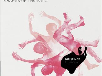 Piers Faccini album cover Shapes of the Fall