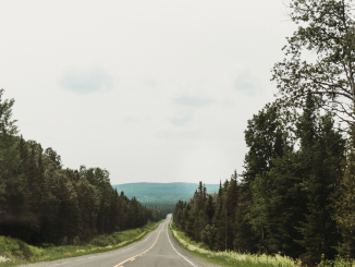 Artwork for Jay Pollmann album"One Day Older None the Wiser