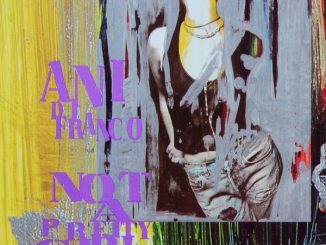 Album cover for Not A Pretty Girl