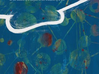 Art work for Steve Dawson "At the Bottom of a Canyon in the Branches of a Tree"