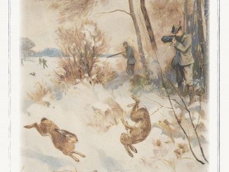 Artwork for Yonder Boys album "Acid Folk"