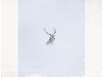 artwork for Colin Macleod album "Hold Fast"