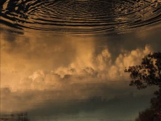 jeb Cardwell 'My Friend Defiance ' album cover image