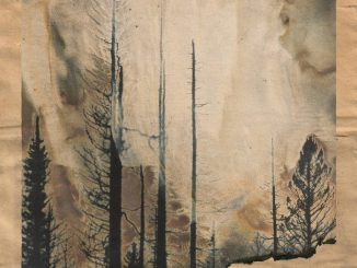 Album art for Through the Smoke