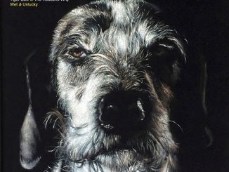 Artwork for Tiger Saw and Reasons Why album