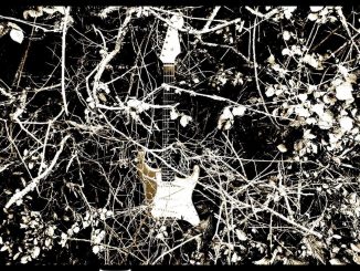 Cover art for Brisley Schwarz album 'Tangled'