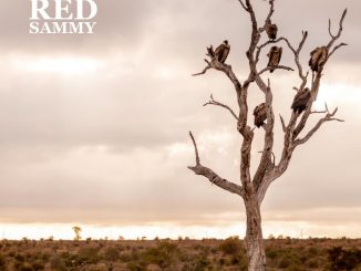 Album art for Red Sammy 'Vultures'