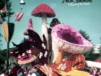 Artwork for Simon Bromide album ,'Following the Moon'