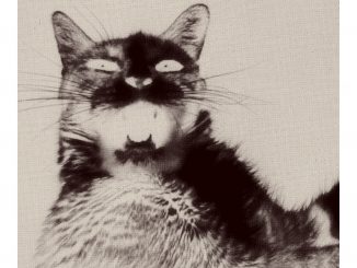 Harrison whitford afriad of nothing 2021