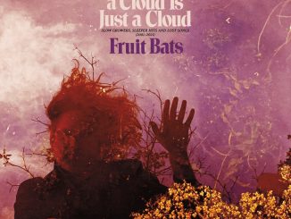 artwork for Fruit Bats album Sometimes A Cloud Is Just A Cloud: Slow Growers, Sleeper Hits and Lost Songs (2001–2021)