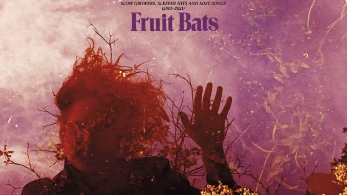 artwork for Fruit Bats album Sometimes A Cloud Is Just A Cloud: Slow Growers, Sleeper Hits and Lost Songs (2001–2021)