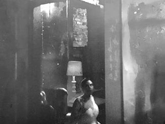 tennessee stiff dearly departed album art