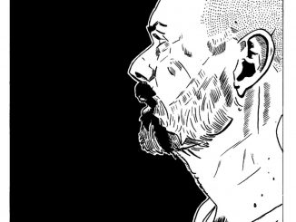 Icarus phoenix album artwork for sometimes our shadow can get in the way