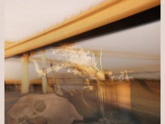 Artwork for Phill Reynolds album “A Ride”