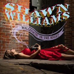 artwork for shawn williams album "wallowin in the night"