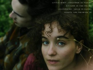 Art work for Fritillaries album "Fritillaries"