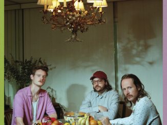 Album cover artwork for Wilder Maker's 'Male Models'