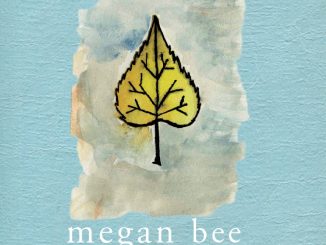 Artwork for Megan Bee album "Cottonwood"