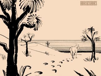 Horseshoes album cover