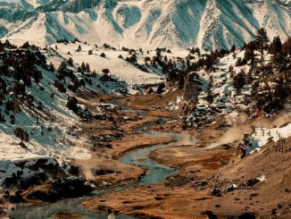 Album cover art for Will Sheff's 'Nothing Special'