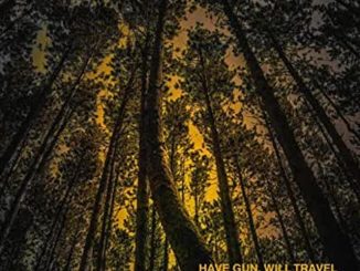 artwork for Have Guns, Will Travel EP, 'Silver Sounds'