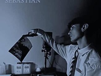 artwork for Belle & Sebastian album "Late Developer"