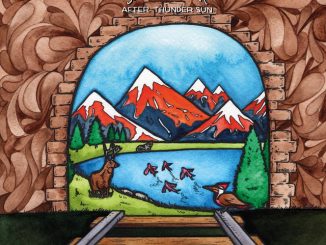 album artwork for Joost Dijkema After Thunder Sun