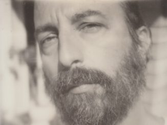 artwork for Herman Dune album "The Portable Herman Dune Vol. 2"