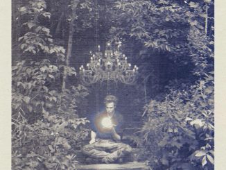 artwork for Josh Ritter album "Spectral Lines"