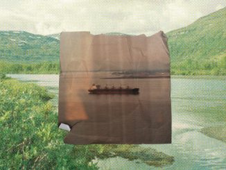 The Tallest Man on Earth