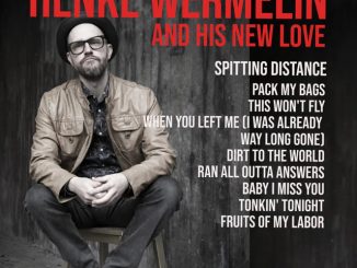 henke Wermelin cover art