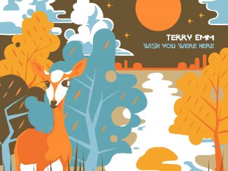 Artwork for Terry Emm album "Wish You Were Here"
