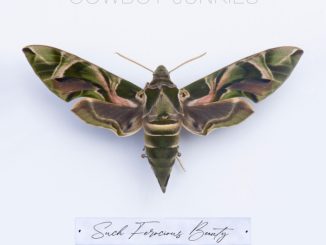 Cover Cowboy Junkies "Such Ferocious Beauty"