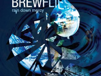 album artwork for Rain Down Mercy- Brewflies