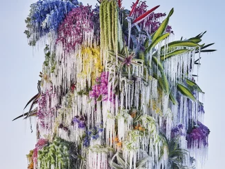 Cover art Wilco Cousin