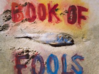 Album cover artwork for Mipso "Book Of Fools"