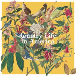 Charlie Kaplan Country Life In America cover art