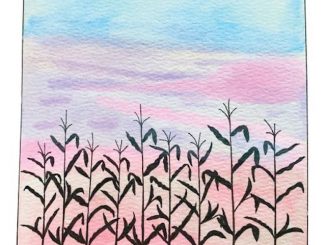 artwork for Afton Wolfe album "The Harvest"