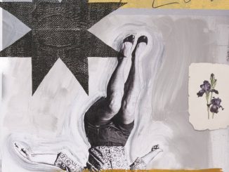 Album cover art for 'The Lowlies'