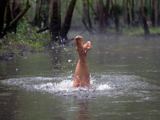 Danielle Howle Current album cover