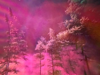 Artwork for Shred Kelly album "Blurry Vision"