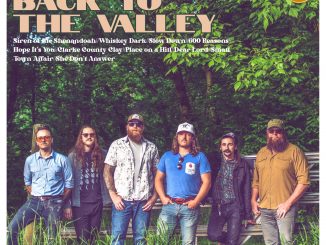 Album cover artwork for 'Back to the Valley' by Low Water Bridge Band